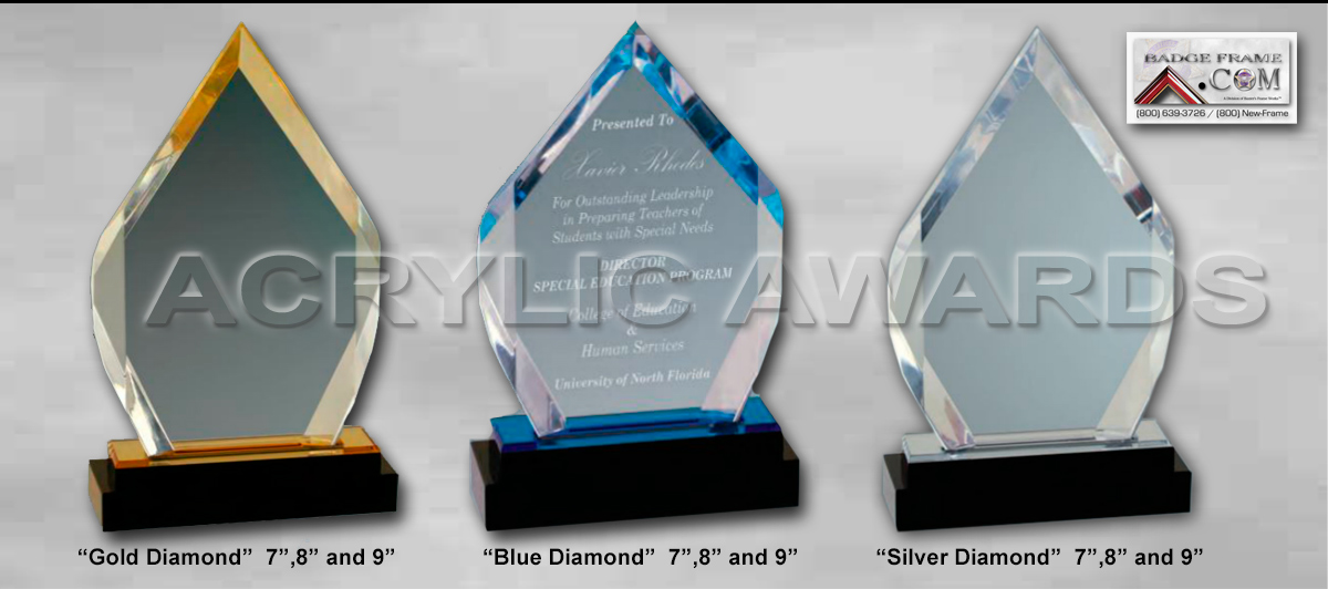 New          Law Enforcement Acrylic Awards from Badge Frame