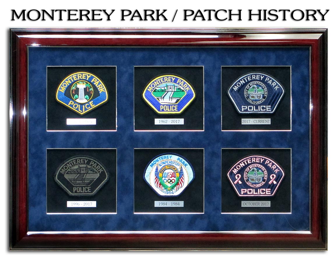 TV and Movies Fictional Law Enforcement Patch Display