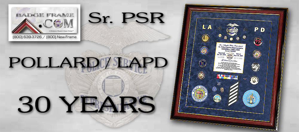 Pollard - LAPD