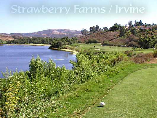 Strawberry Farms / Irvine