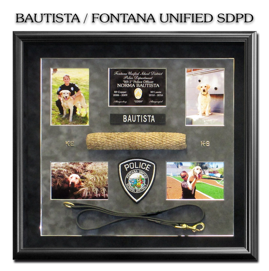 Bautista - Fontana mUNified School District PD - K-9
          Presentation from Badge Frame