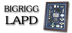 BigRigg - LAPD
