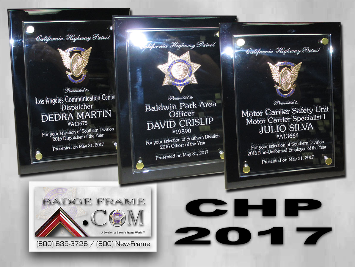 CHP 2017
          Awards from Badge Frame