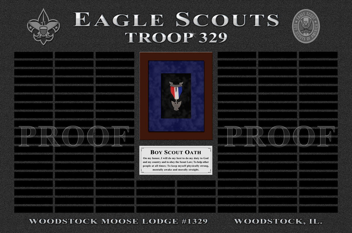Eagle Scout
          Troop 329