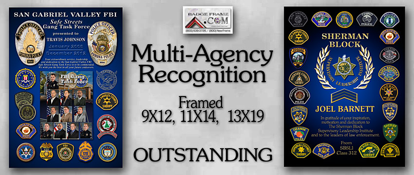 Multi-Agency
              Recognition plauqe